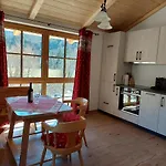 Nickis Bergcamp Schneizlreuth
