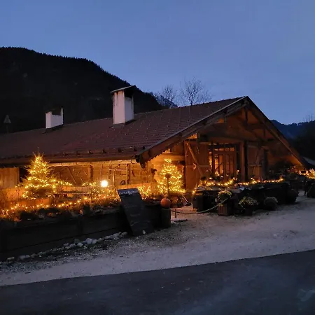 Apartamento Nickis Bergcamp Schneizlreuth