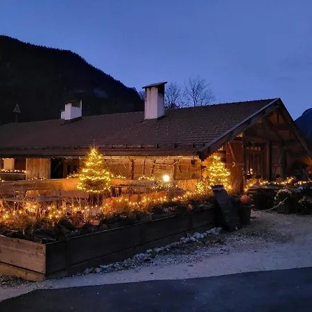 Nickis Bergcamp * Schneizlreuth